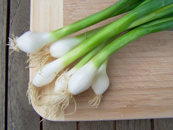 Hành có tác dụng lợi tiểu và làm sạch máu